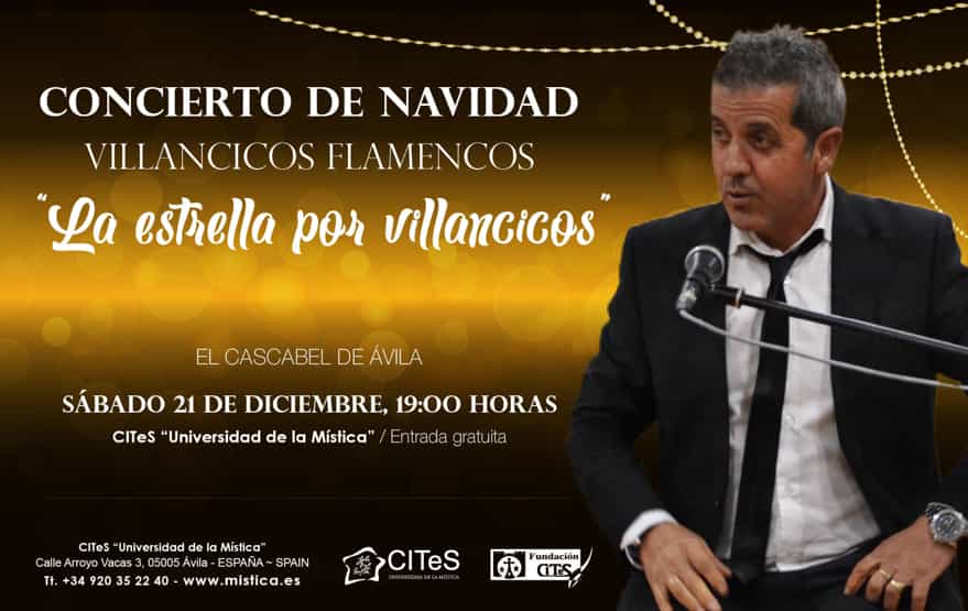 ¡CONCIERTO DE NAVIDAD EN ÁVILA!