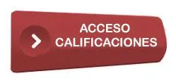 ACCESO CALIFICACIONES