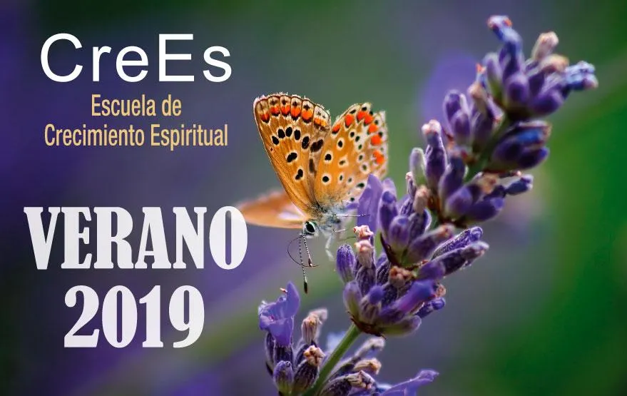 cursos verano 2019