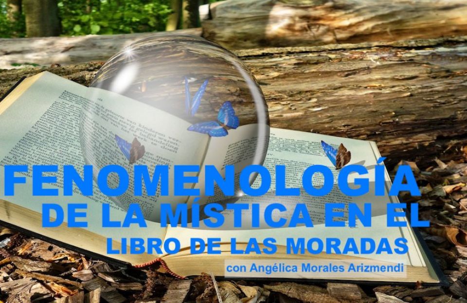 Fenomenología de la mística en el libro de las Moradas